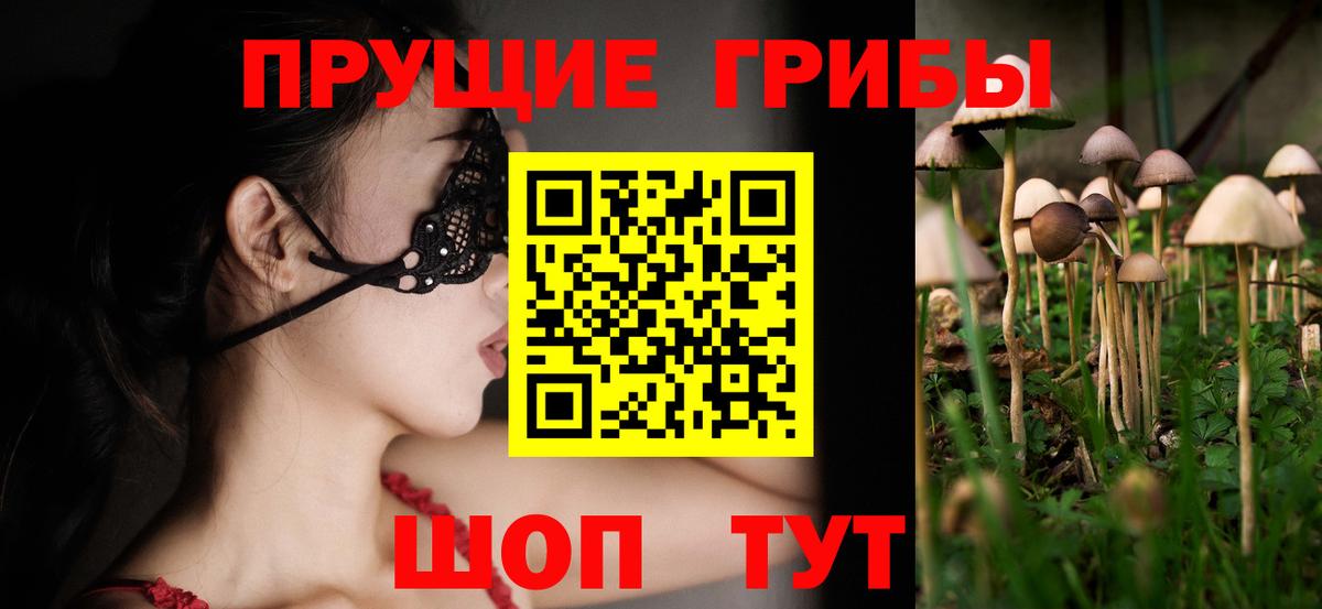 Псилоцибиновые грибы Psilocybine cubensis Мирный