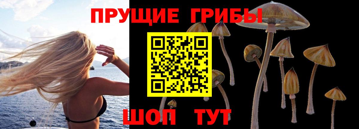 Мирный  Галлюциногенные грибы MAGIC MUSHROOMS  Вход с VPN 
